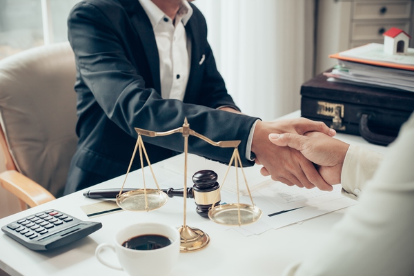 Business formation and entity selection lawyer